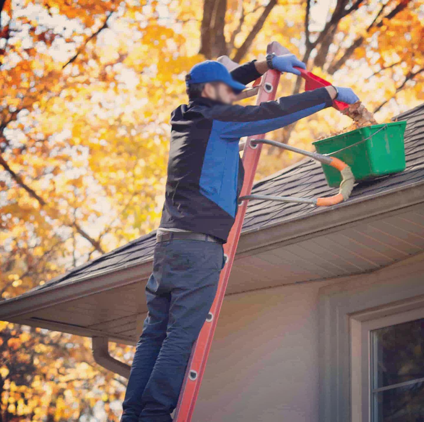 Gutter Cleaning