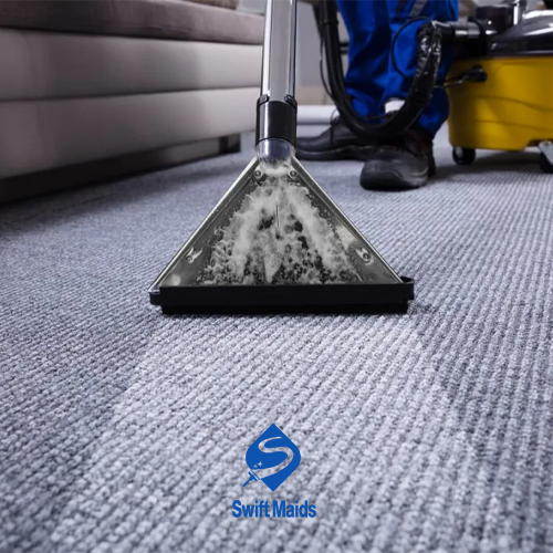 Carpet Cleaning Techniques