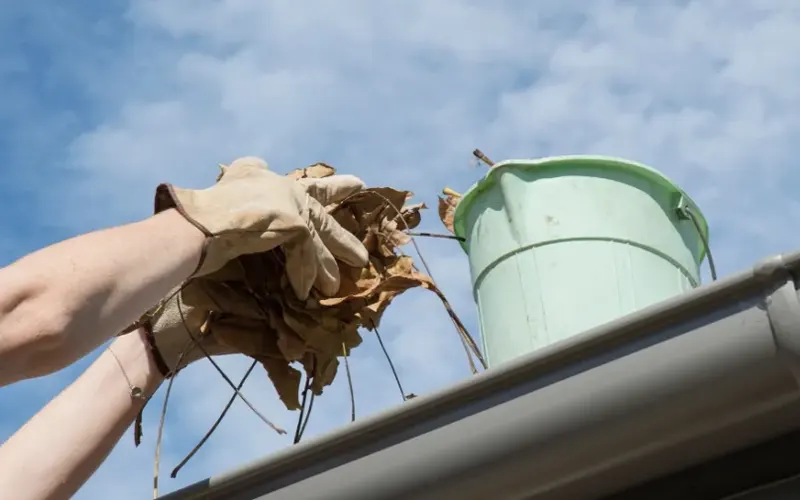DIY Gutter Cleaning Solution