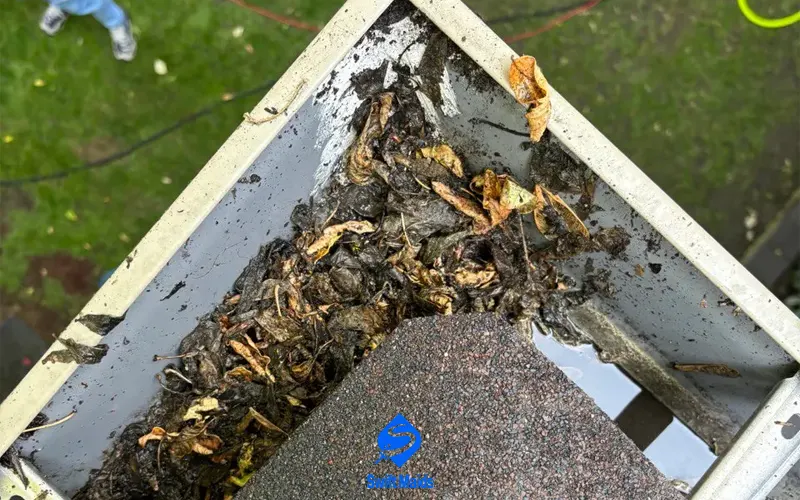 Professional Gutter Cleaning | A Safer and More Efficient Option