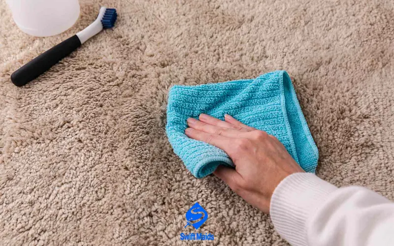 DIY Winter Carpet Cleaning Tips